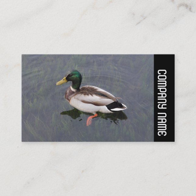 Side Band - Mallard Duck Business Card (Front)