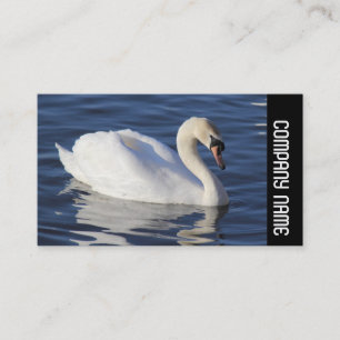 Side Band - Mute Swan Business Card