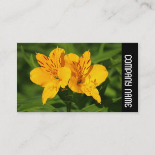 Side Band - Peruvian Lilies Business Card