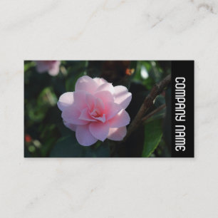 Side Band -  Pink Camellia Business Card