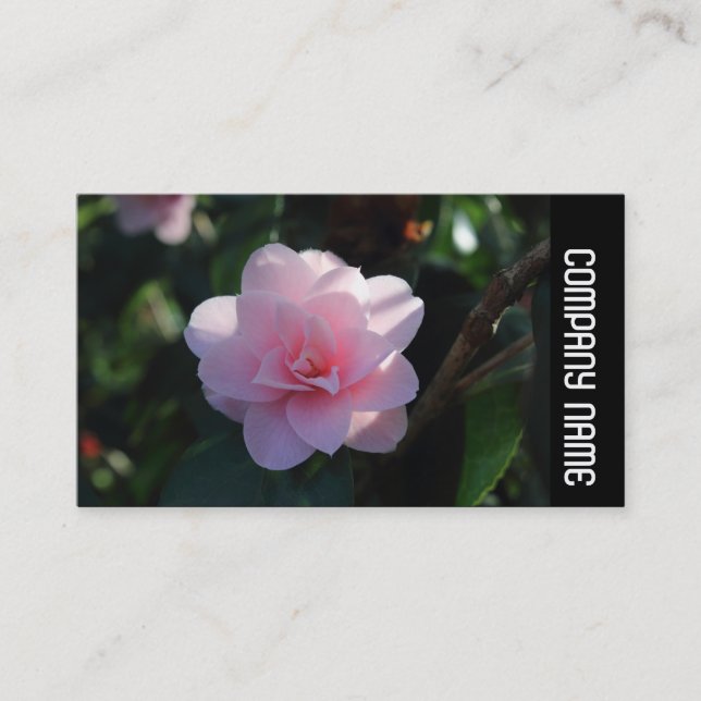 Side Band -  Pink Camellia Business Card (Front)