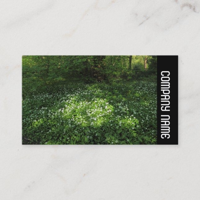 Side Band -  Spot of Garlic Business Card (Front)