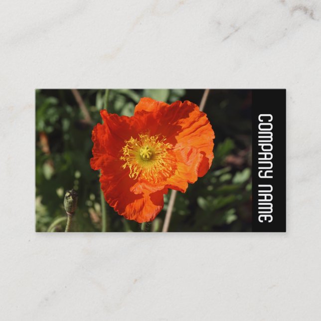 Side Band -  Welsh Poppy (Orange) Business Card (Front)