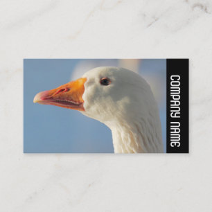 Side Band - White Goose Business Card