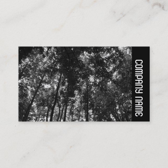 Side Band -  Woodland Canopy 01 BW Business Card (Front)