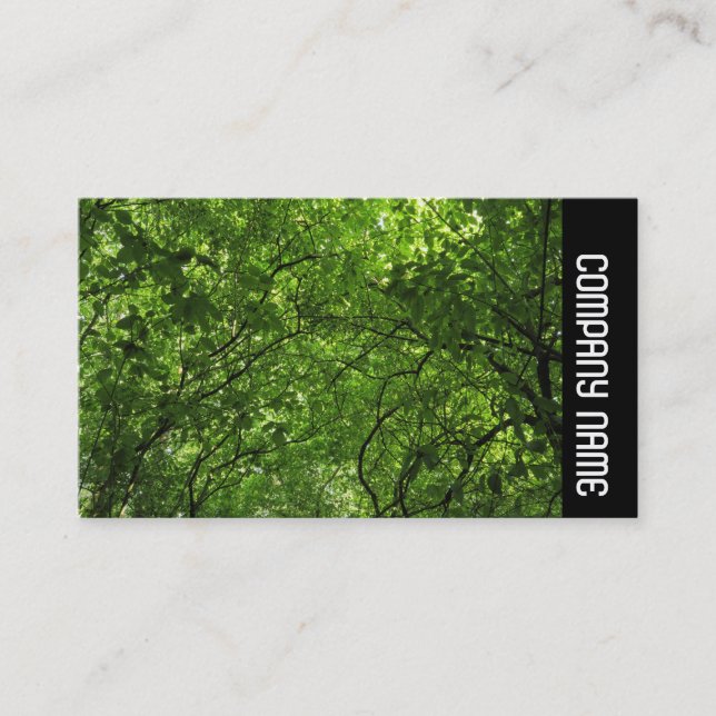 Side Band -  Woodland Canopy Business Card (Front)
