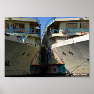 Side by Side on the Nile Poster