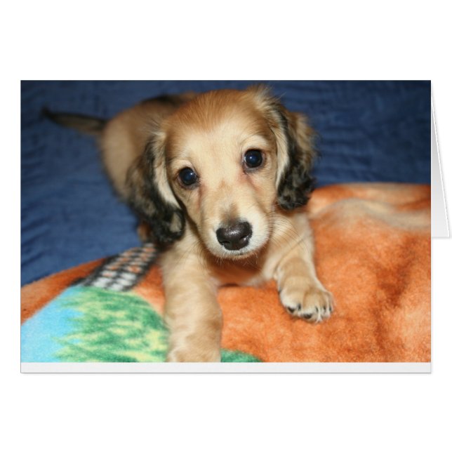 side by side or miles apart (Front Horizontal)