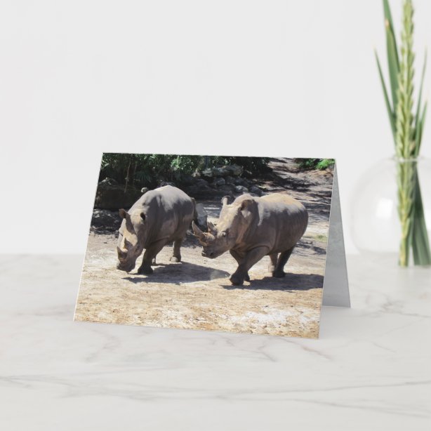 Rhino Cards | Zazzle UK