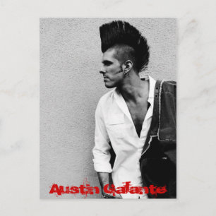 side coat hawk 4x6, Austin Galante Postcard