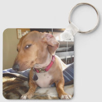 Side Eye Dog Meme Double Sided Keychain