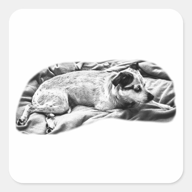 Side-Eye Snoozer with Feathered Tones Square Sticker (Front)