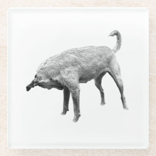 Side-Glance Terrier Charm Glass Coaster