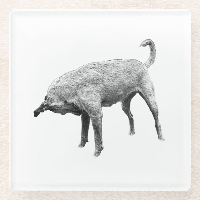 Side-Glance Terrier Charm Glass Coaster (Front)