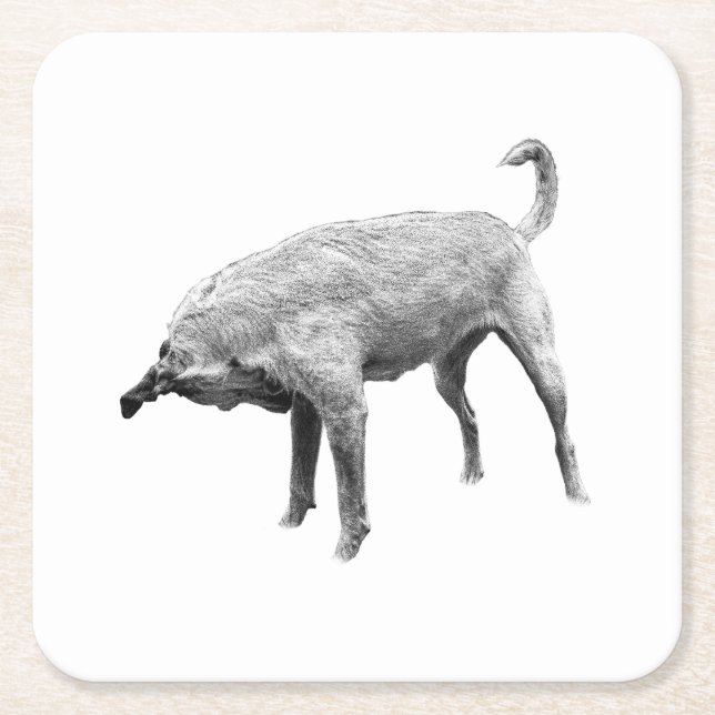 Side-Glance Terrier Charm Square Paper Coaster (Front)
