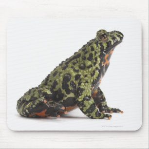 Side View of an Oriental Fire Bellied Toad Mouse Mat