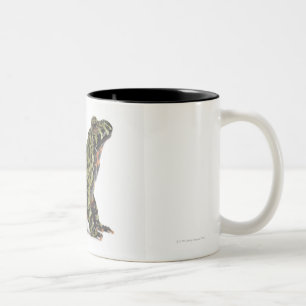 Side View of an Oriental Fire Bellied Toad Two-Tone Coffee Mug