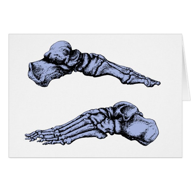 Side view of bones of the feet - deep blue (Front Horizontal)