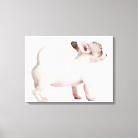 Side view of Chihuahua Puppy (10 weeks old)