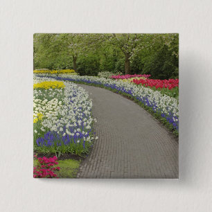 Sidewalk pathway through tulips and daffodils, 2 15 cm square badge