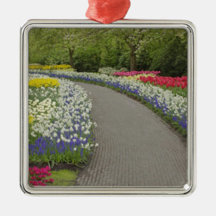 Sidewalk pathway through tulips and daffodils, 2 metal tree decoration