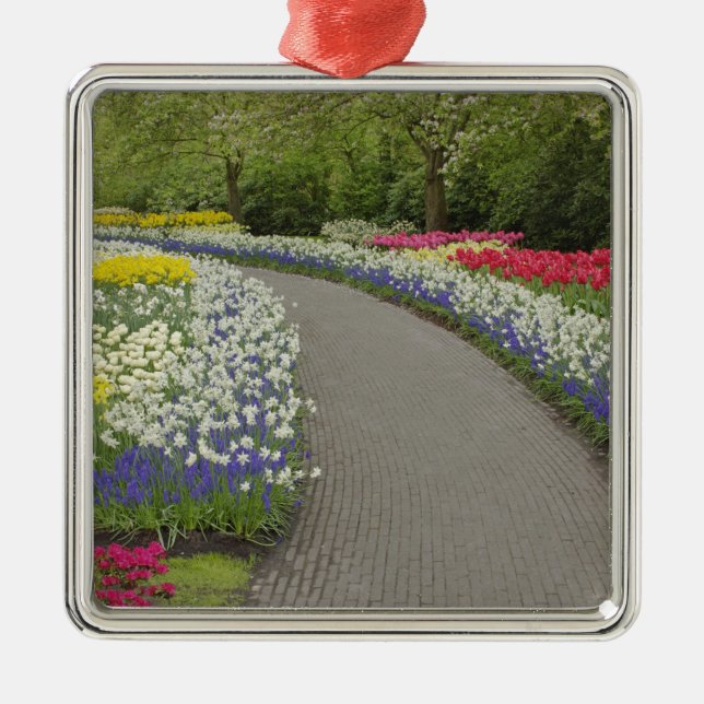 Sidewalk pathway through tulips and daffodils, 2 metal tree decoration (Front)