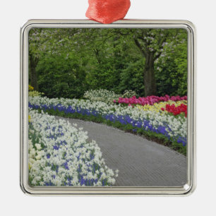 Sidewalk pathway through tulips and daffodils, metal tree decoration