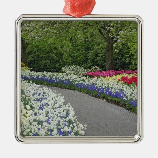 Sidewalk pathway through tulips and daffodils, metal tree decoration (Front)