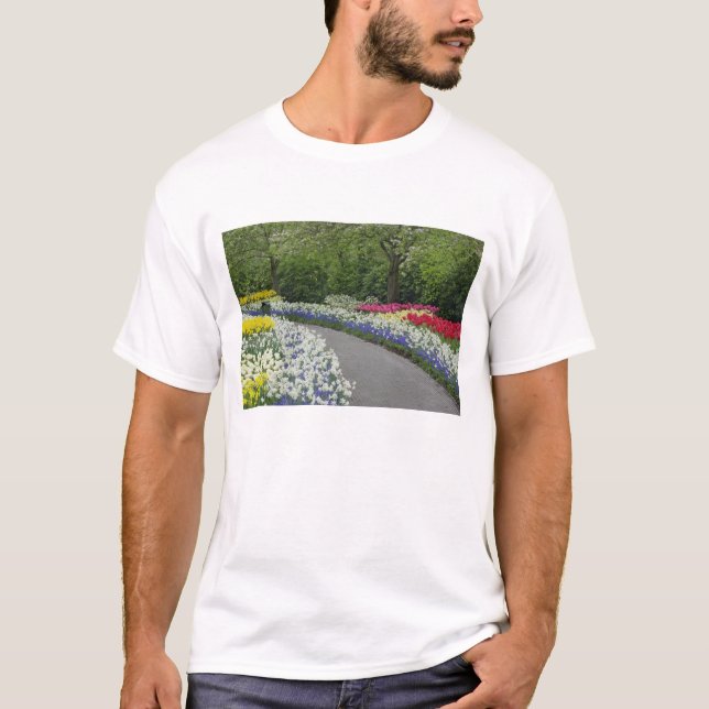 Sidewalk pathway through tulips and daffodils, T-Shirt (Front)