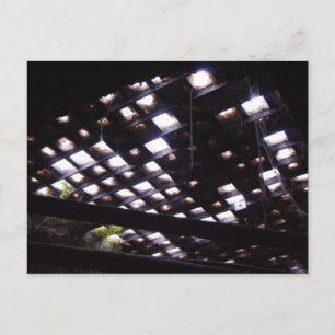 Sidewalk Skylight From Below Postcard