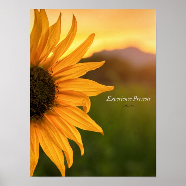 Sideways Glance-Experience Prescott Poster (Front)