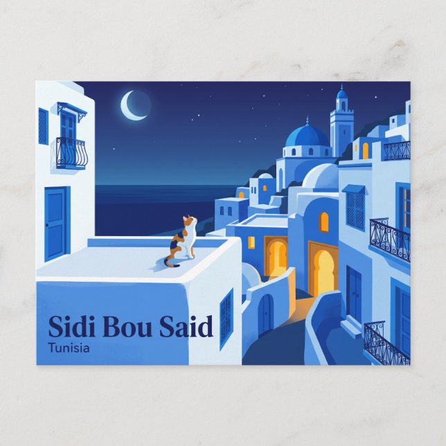 Sidi Bou Said Tunisia Postcard (Front)