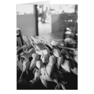 Siem Reap Cambodia, Lotus Flowers