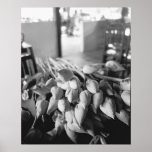 Siem Reap Cambodia, Lotus Flowers Poster