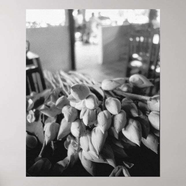 Siem Reap Cambodia, Lotus Flowers Poster (Front)