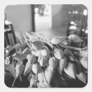 Siem Reap Cambodia, Lotus Flowers Square Sticker