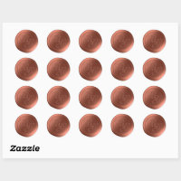 Sienna Rust Calligraphy Monogram Wax Seal Stickers