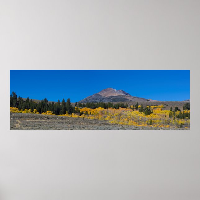 SIerra Fall Panorama Poster (Front)