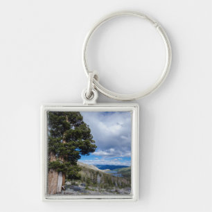 Sierra Juniper and Evergreen Trees 2 Key Ring