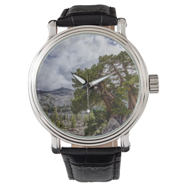 Sierra Juniper and Evergreen Trees Watch (Front)