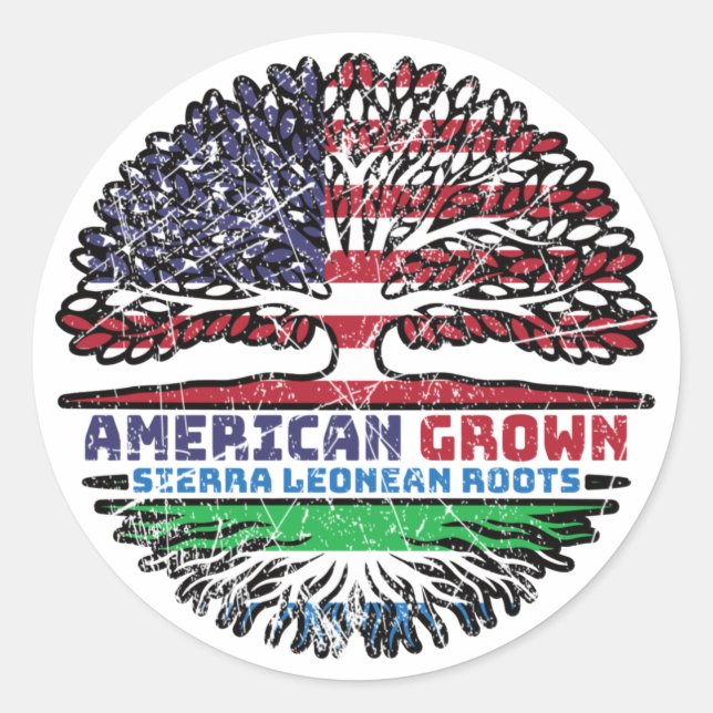 Sierra Leone Leonean US American USA United States Classic Round Sticker (Front)