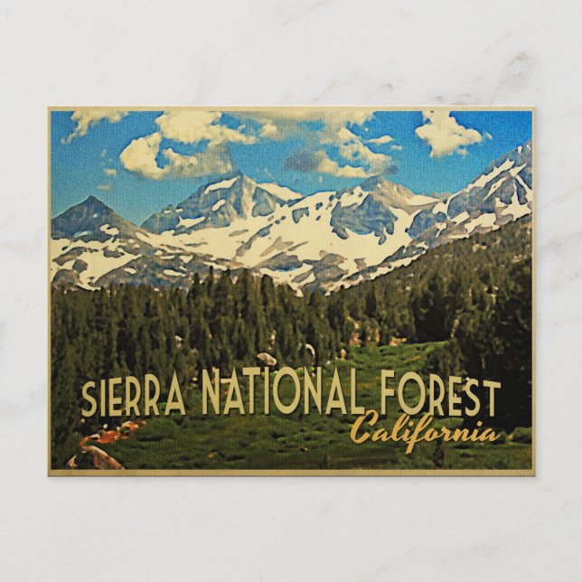 Sierra National Forest California Postcard (Front)