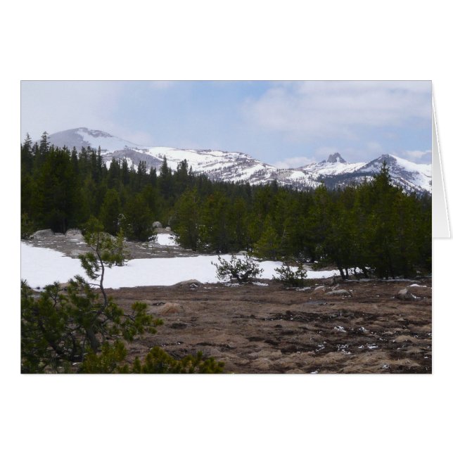 Sierra Nevada Mountains and Snow at Yosemite (Front Horizontal)