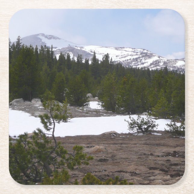 Sierra Nevada Mountains and Snow at Yosemite Square Paper Coaster (Front)