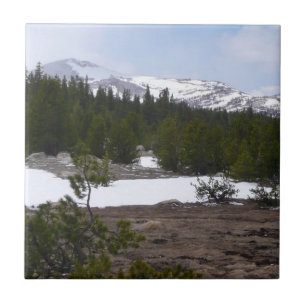 Sierra Nevada Mountains and Snow at Yosemite Tile
