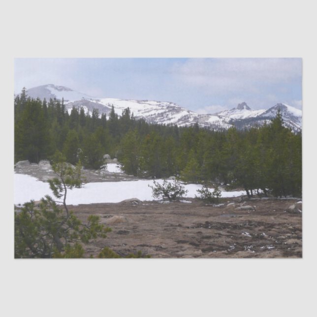 Sierra Nevada Mountains and Snow at Yosemite Tissue Paper (Front)
