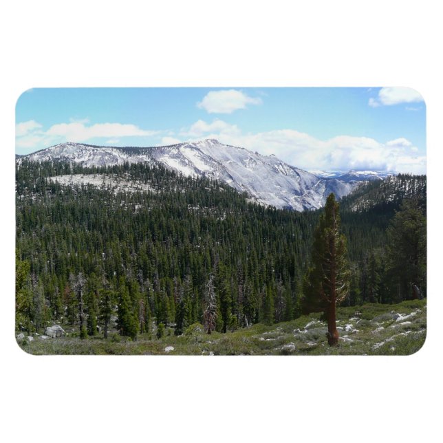 Sierra Nevada Mountains II from Yosemite Magnet (Horizontal)