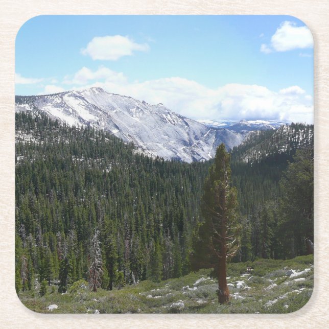 Sierra Nevada Mountains II from Yosemite Square Paper Coaster (Front)