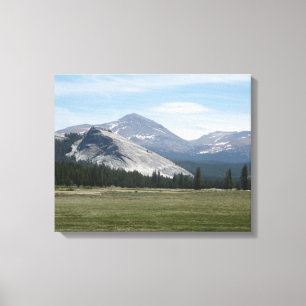 Sierra Nevada Mountains III Yosemite National Park Canvas Print