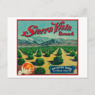 Sierra Vista Brand Citrus Crate Label Postcard